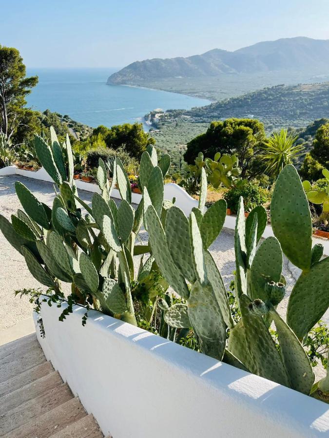 Casa Molo 13 Villa Mattinata Bagian luar foto